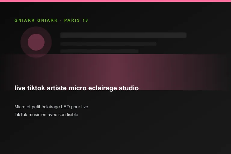 Micro et petit éclairage LED pour live TikTok musicien avec son lisible